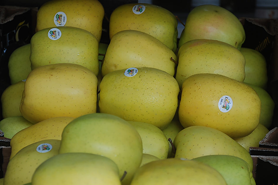 Territoriogastronomico-Manzana-Golden-940x626