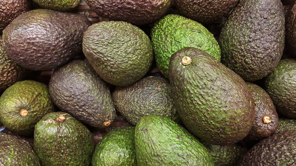 aguacate