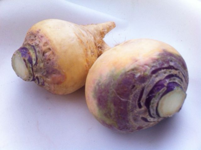 venta_de_nabicol