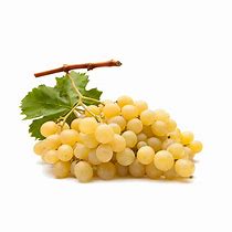 uva moscatel